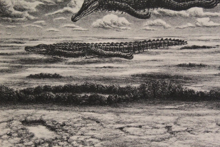 Steve Galloway, Alligators For Sale 4