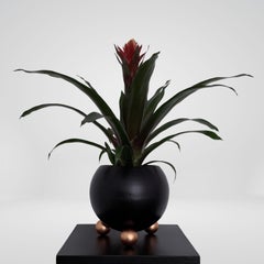 Arty decorative hand-made plant pot, black with rose gold legs