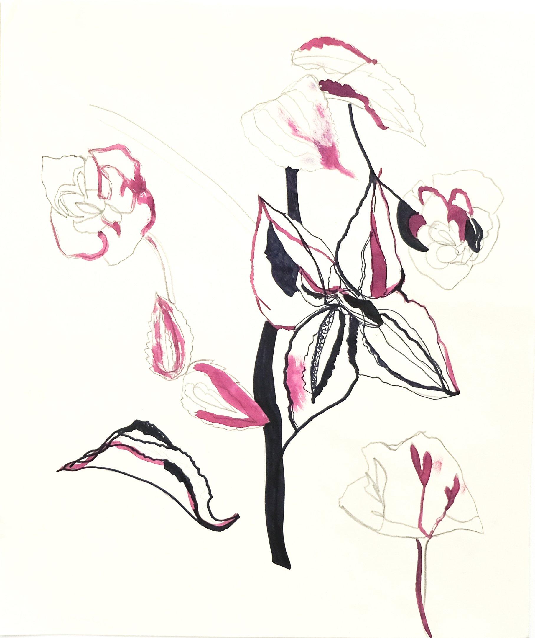 Adria Mirabelli Abstract Drawing - Orchids and Hydrangeas - red contemporary floral minimal abstract line painting
