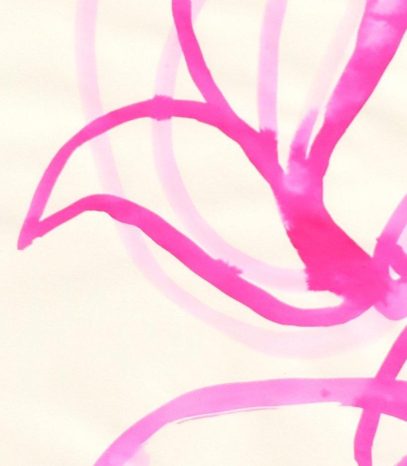 Soft Flora #8 - bold pink contemporary floral minimal abstract line painting - Abstract Art by Adria Mirabelli