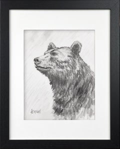 Sir Bear - Graphit - Gerahmte Bären-Zeichnung