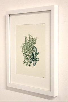 Basil, Parsley, Rosemary, and Thyme, Ink Drawing on Paper