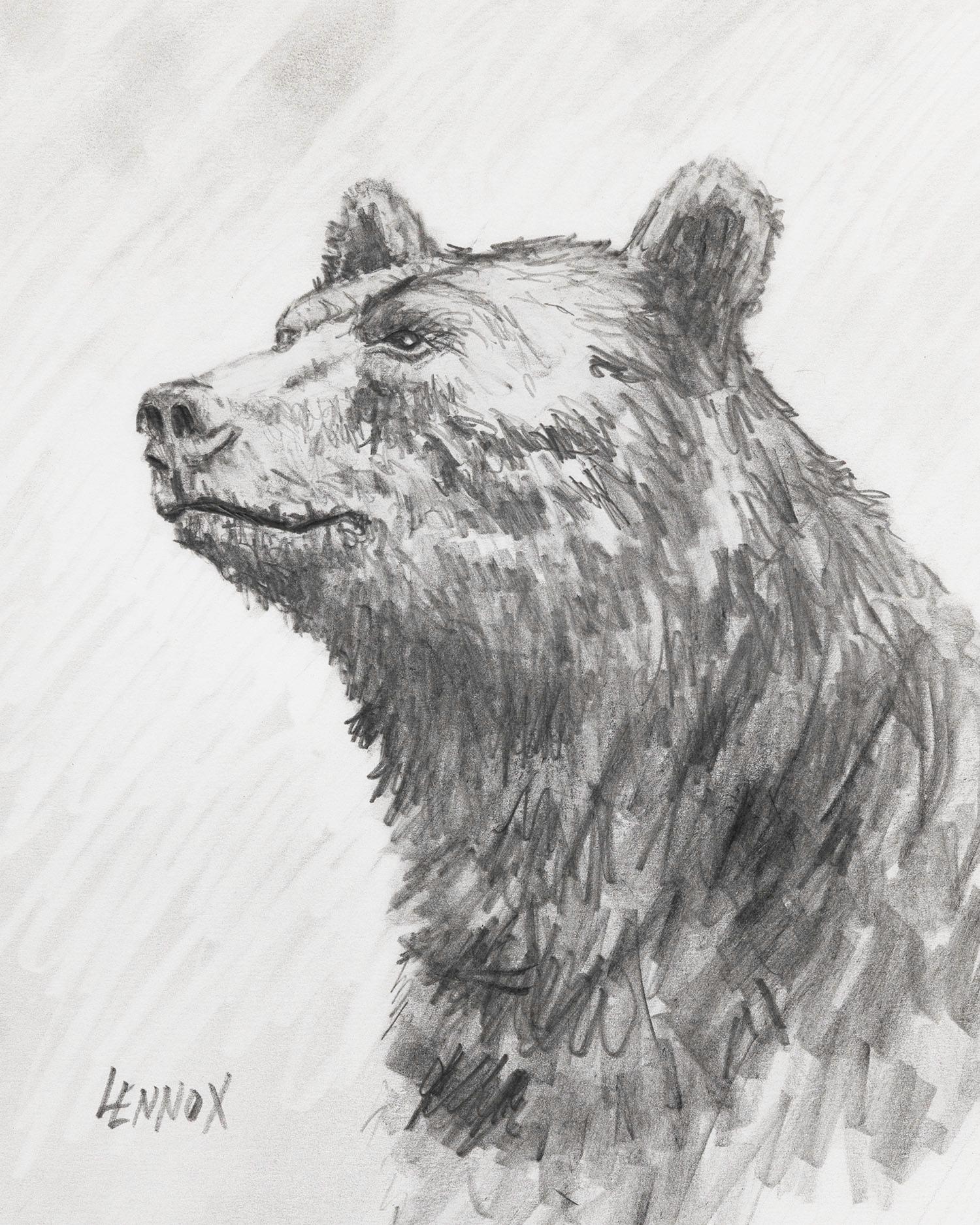 Señor Oso - Grafito - Dibujo de Oso Enmarcado - Art de Clayt Lennox