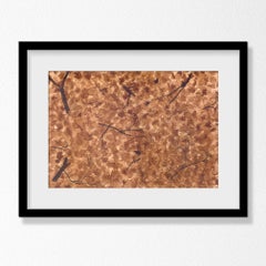 Carpet (drawing)