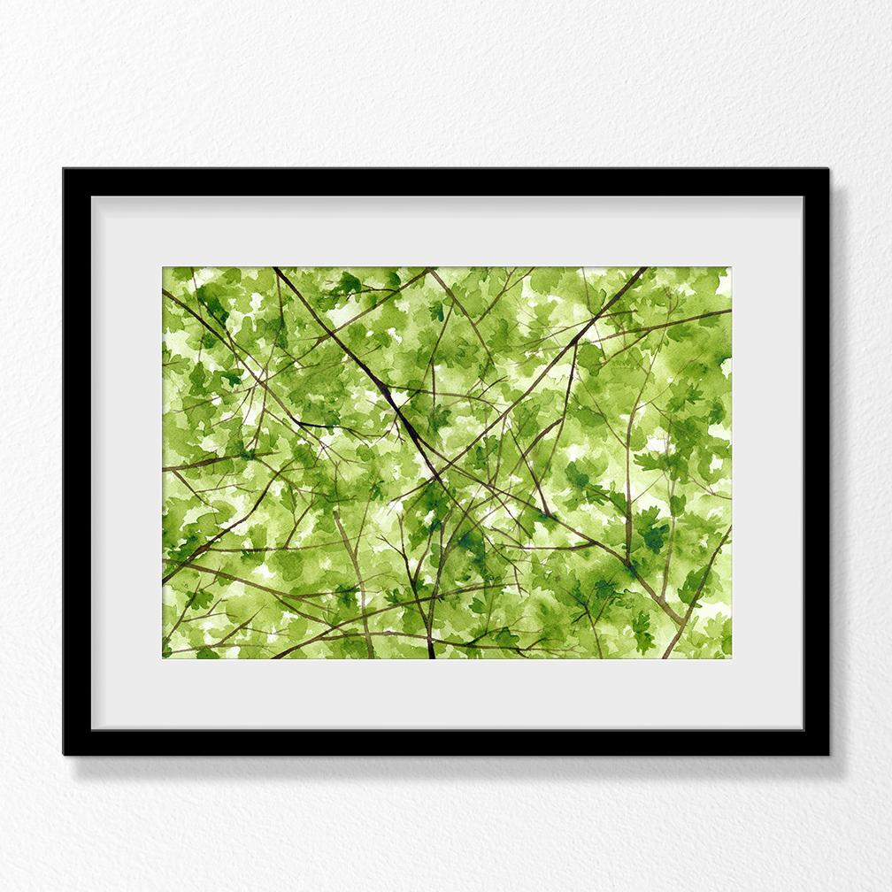 Canopy Drawing - Art by Sharon Levy