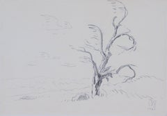 Ancien arbre et nuages de vent de septembre