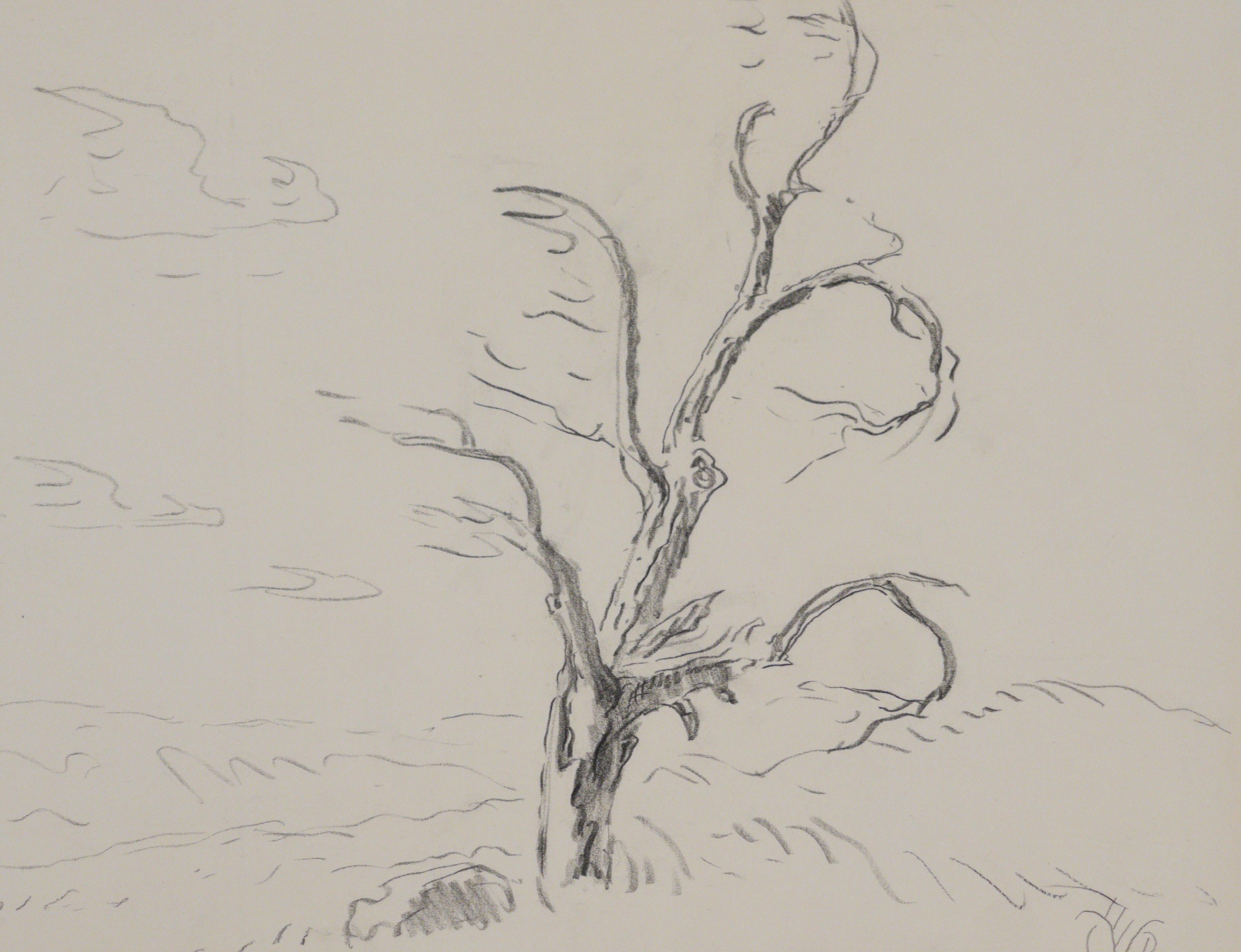 Alter Baum und Septemberwindwolken (Grau), Landscape Art, von Charles E. Burchfield