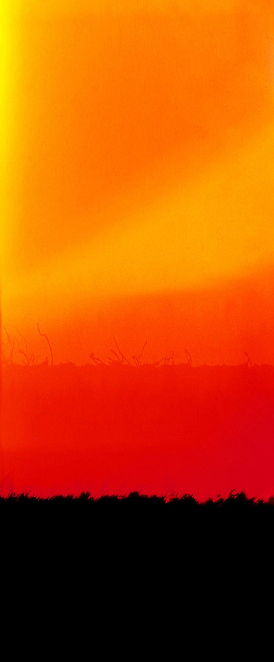 Silvio Wolf Color Photograph - Horizon E,  abstract photography, orange and black