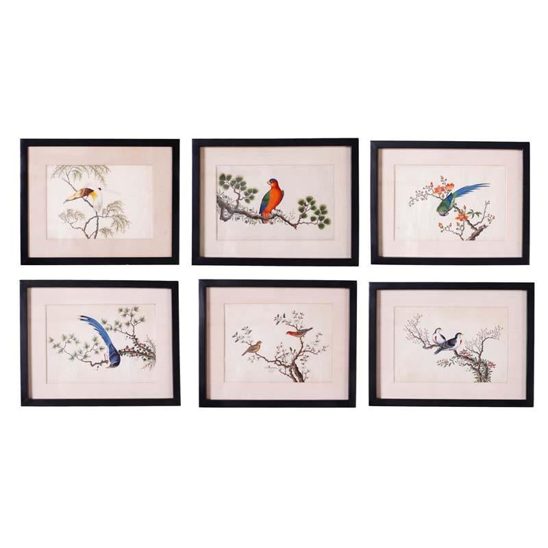Unknown Animal Art - Set of Six Chinese Watercolors of Song Birds