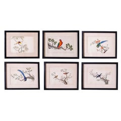 Antique Set of Six Chinese Watercolors of Song Birds