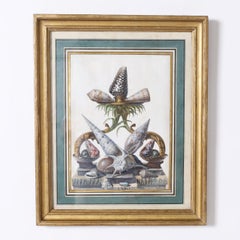 Antique English Watercolor and Gouache Still Life with Sea Shells