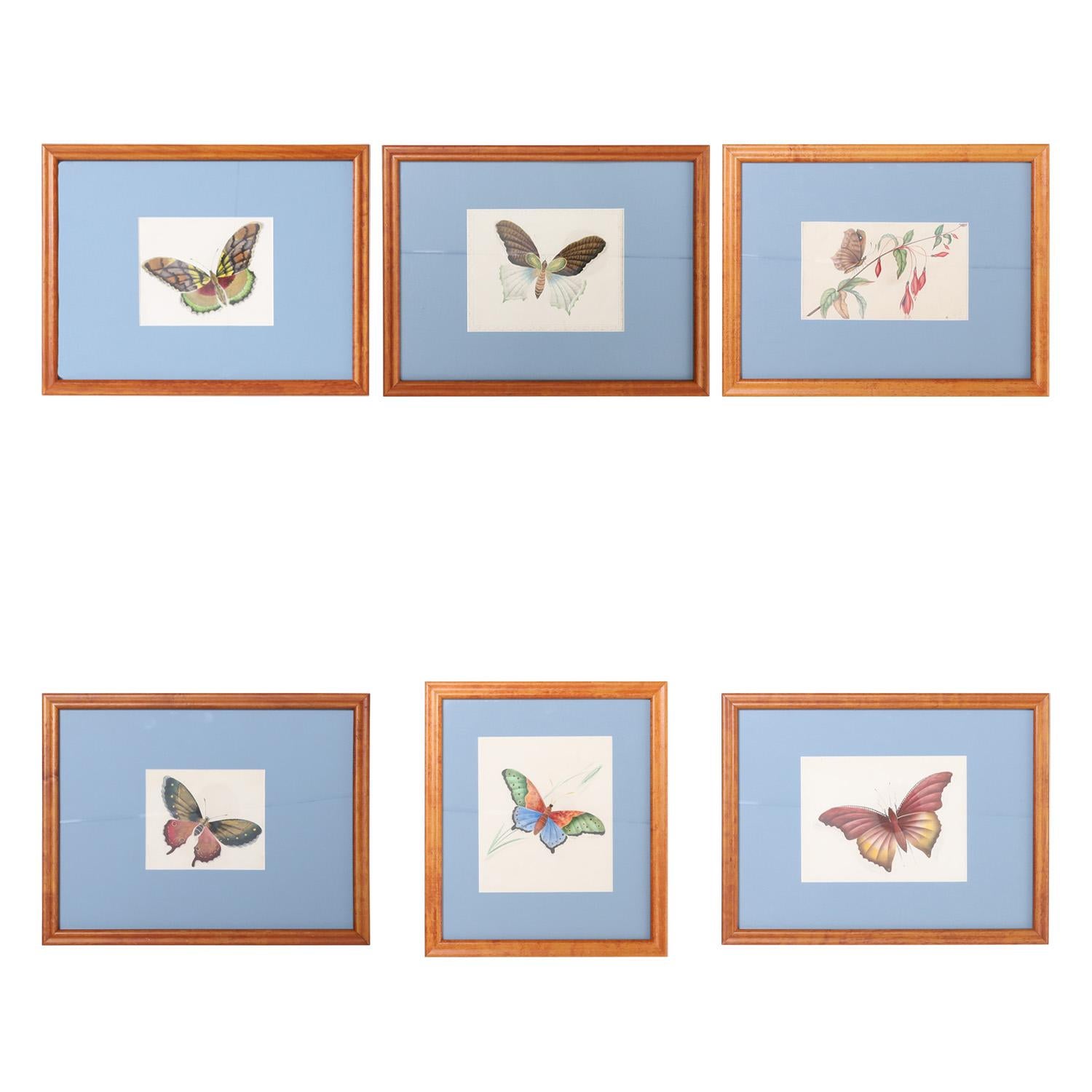 Vintage Set of Six Moth Watercolors - Art by Unknown