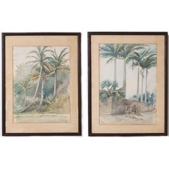 Pair of Antique Tropical Watercolor Paintings
