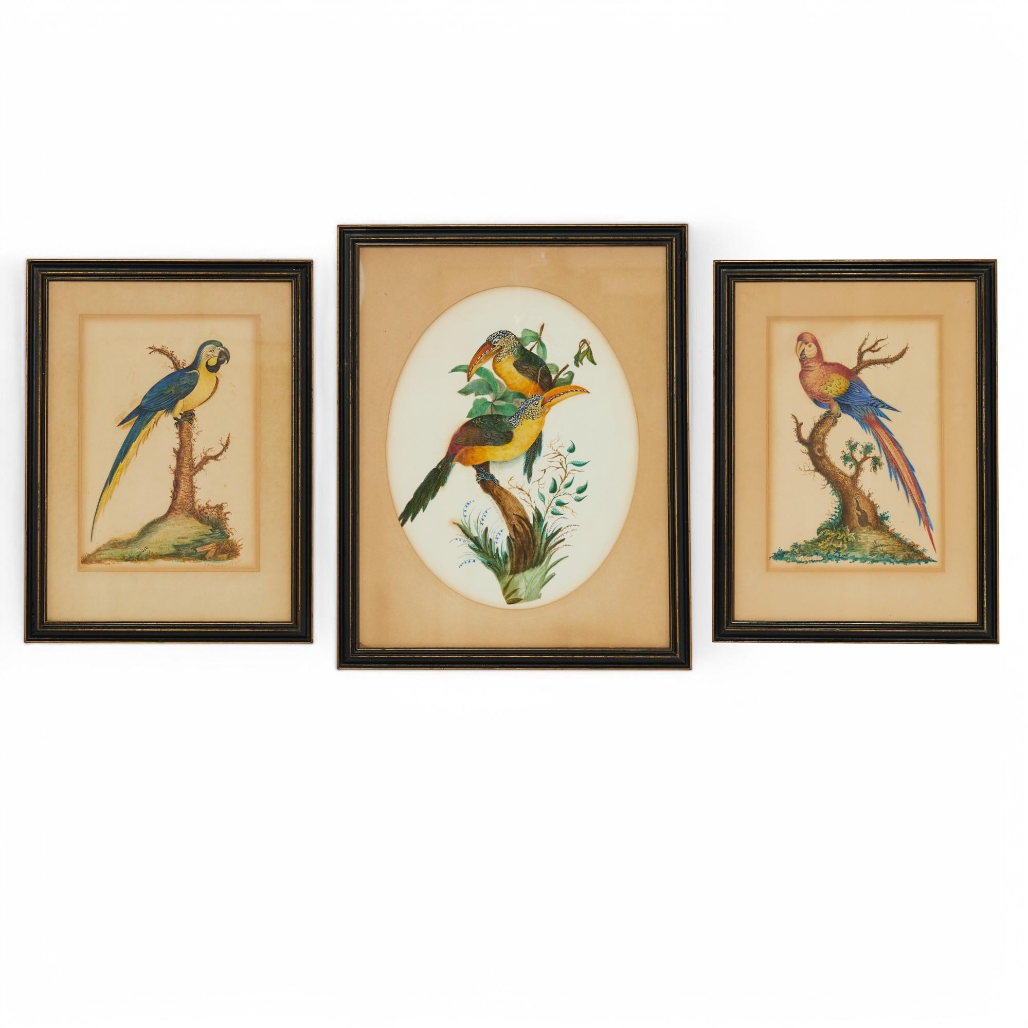 Animal Dessins et aquarelles - Animaux