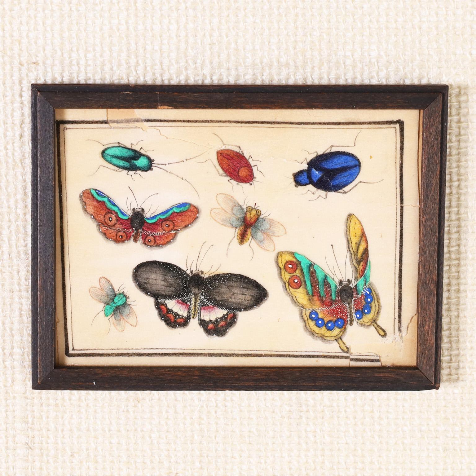 Ensemble de douze aquarelles chinoises sur papier de riz représentant des insectes en vente 1