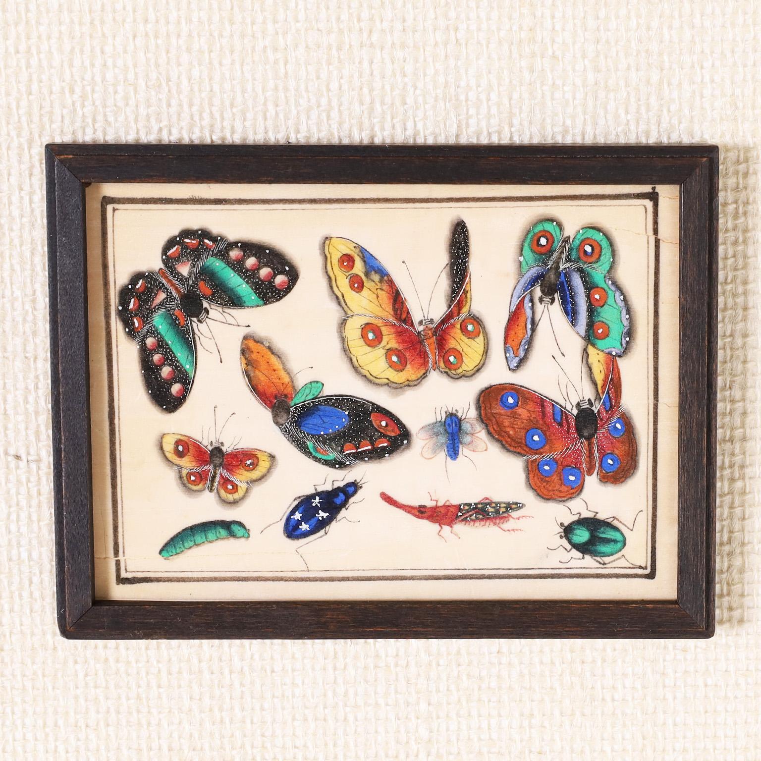 Rare et remarquable ensemble de douze aquarelles chinoises du XIXe siècle sur papier sulfurisé représentant des espèces de papillons de nuit et d'autres insectes assortis, exécutées dans de magnifiques couleurs vives. Présenté sous verre dans un