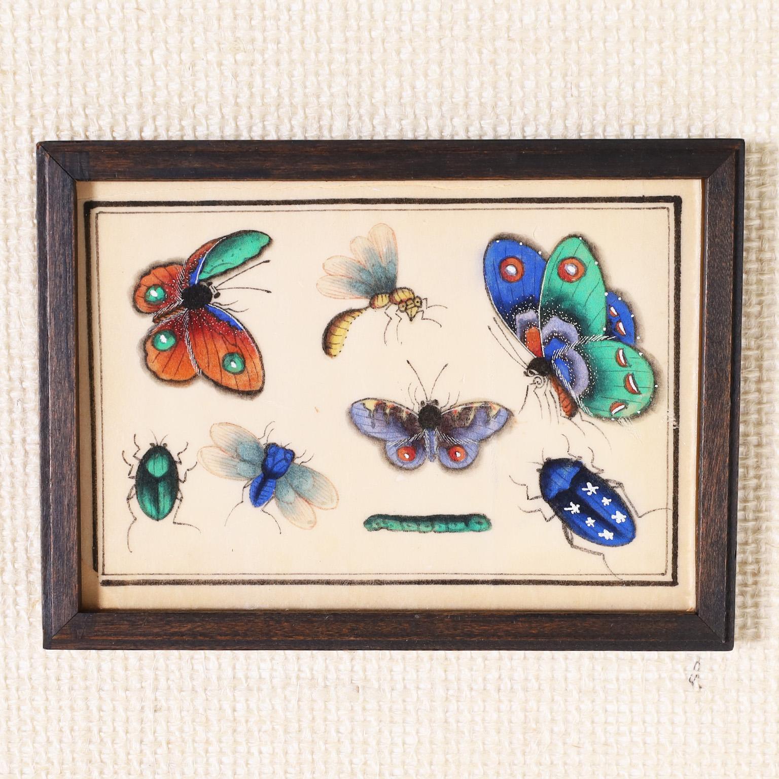 Ensemble de douze aquarelles chinoises sur papier de riz représentant des insectes en vente 5