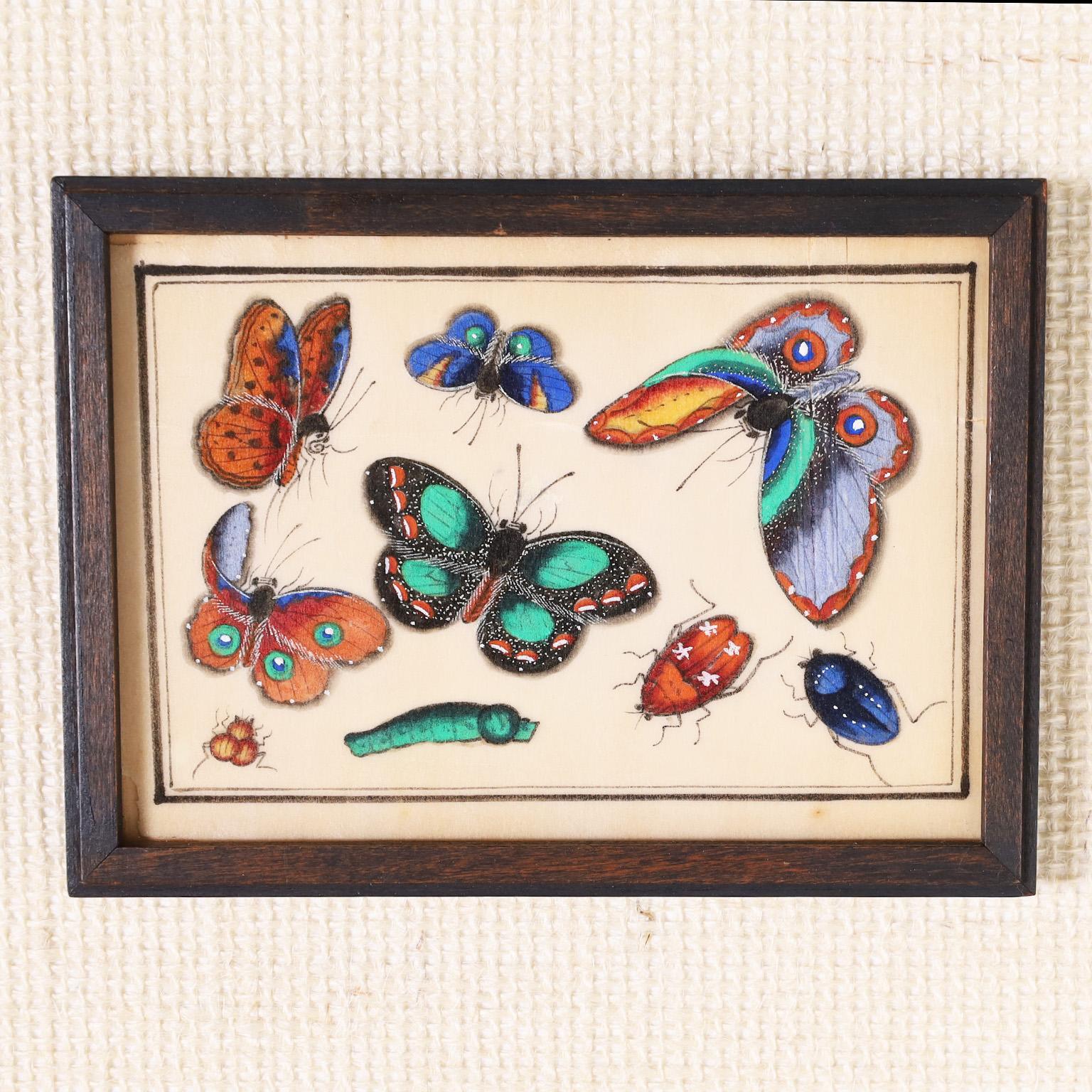 Set of Twelve Chinese Watercolors on Pith Paper of Insects For Sale 4