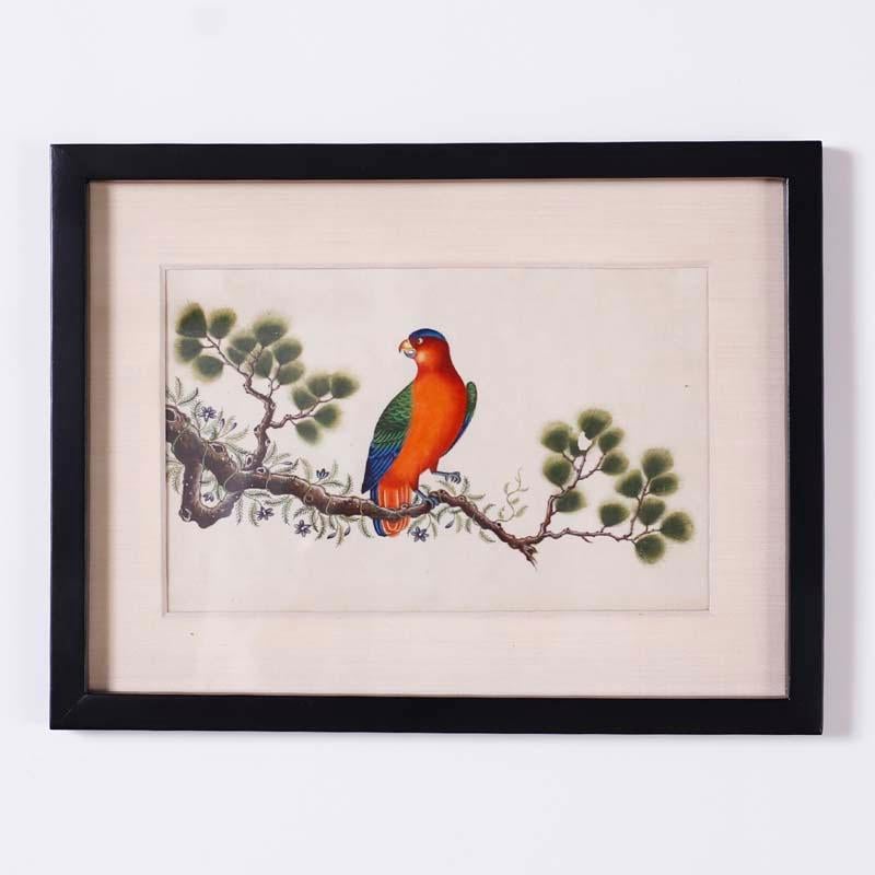 Set of Six Chinese Watercolors of Song Birds - Other Art Style Art by Unknown