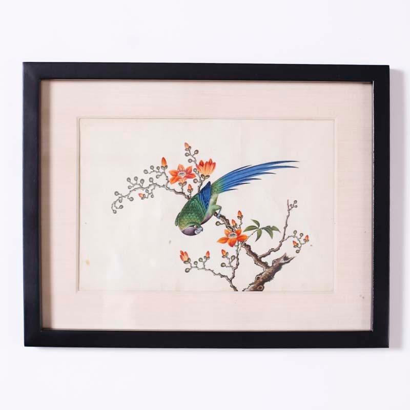 Set of Six Chinese Watercolors of Song Birds - Beige Animal Art by Unknown