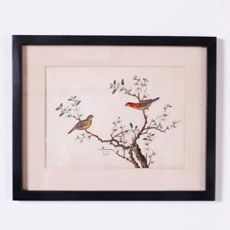 Set of Six Chinese Watercolors of Song Birds For Sale 1