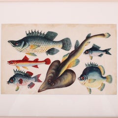 Chinese Pith Painting of Fish
