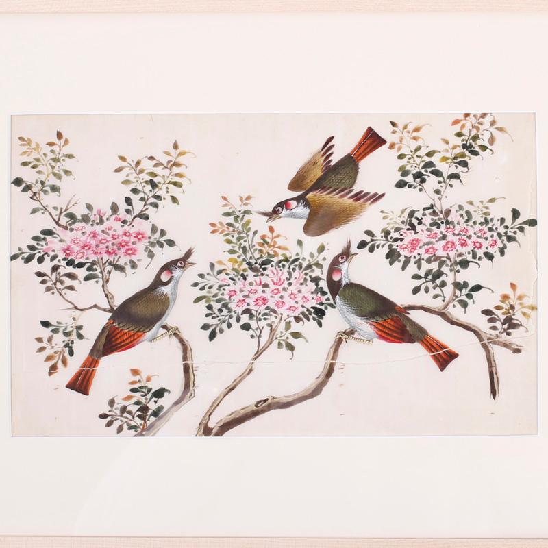 Antique Pith Painting of Birds - Art by Unknown