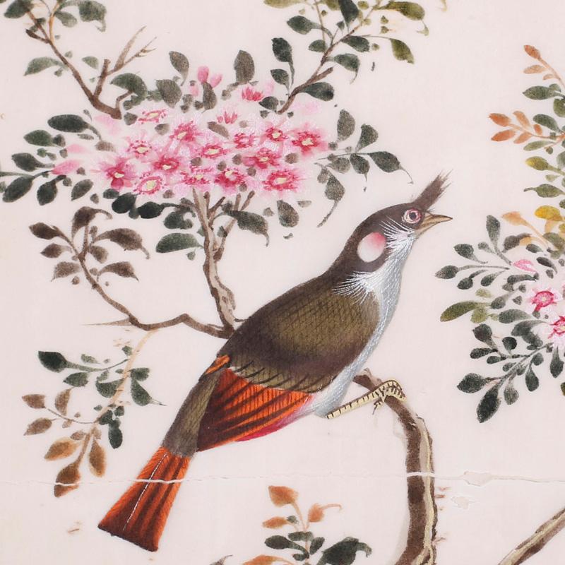 Antique Pith Painting of Birds - Other Art Style Art by Unknown