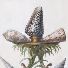 Antique English Watercolor and Gouache Still Life with Sea Shells