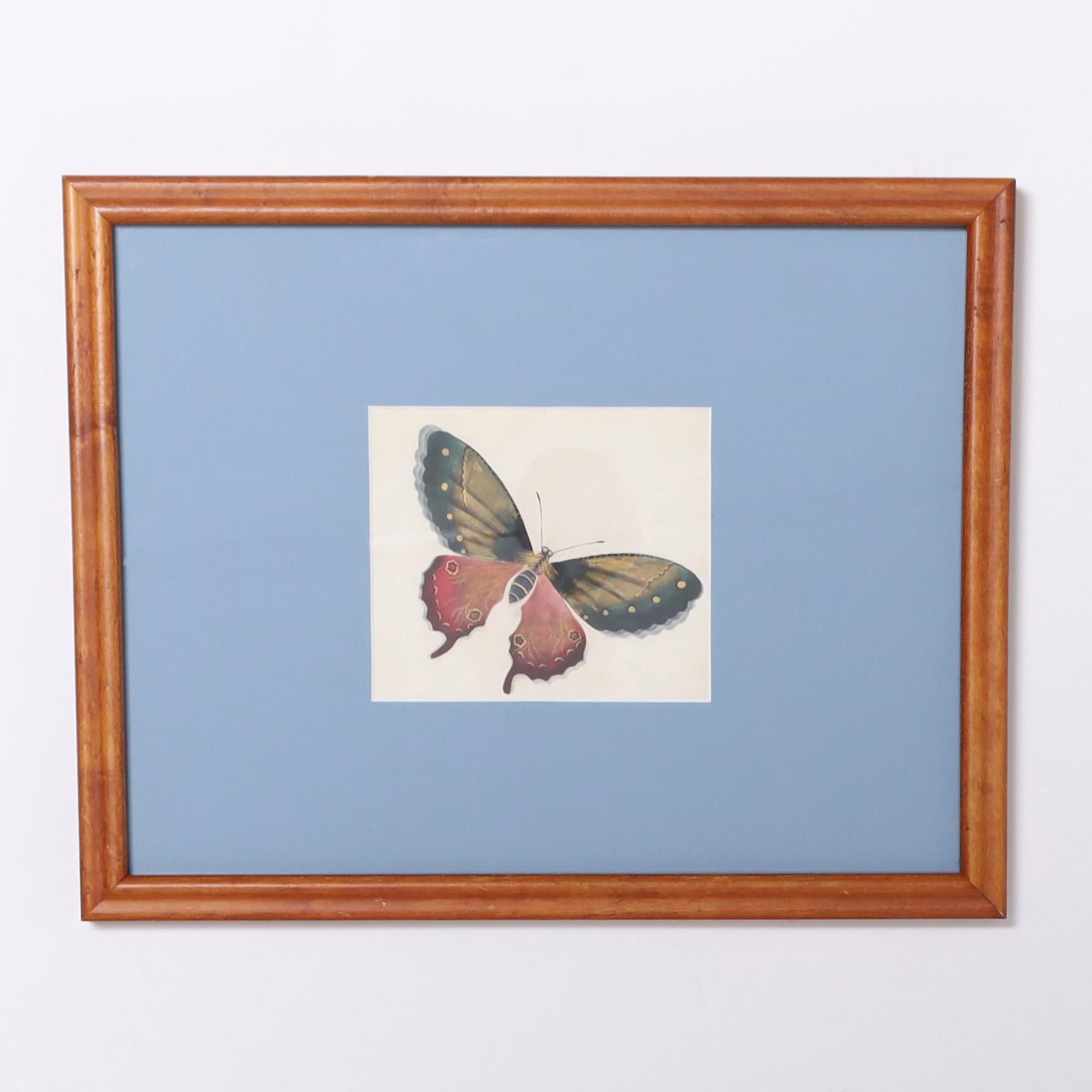 Vintage Set of Six Moth Watercolors For Sale 1