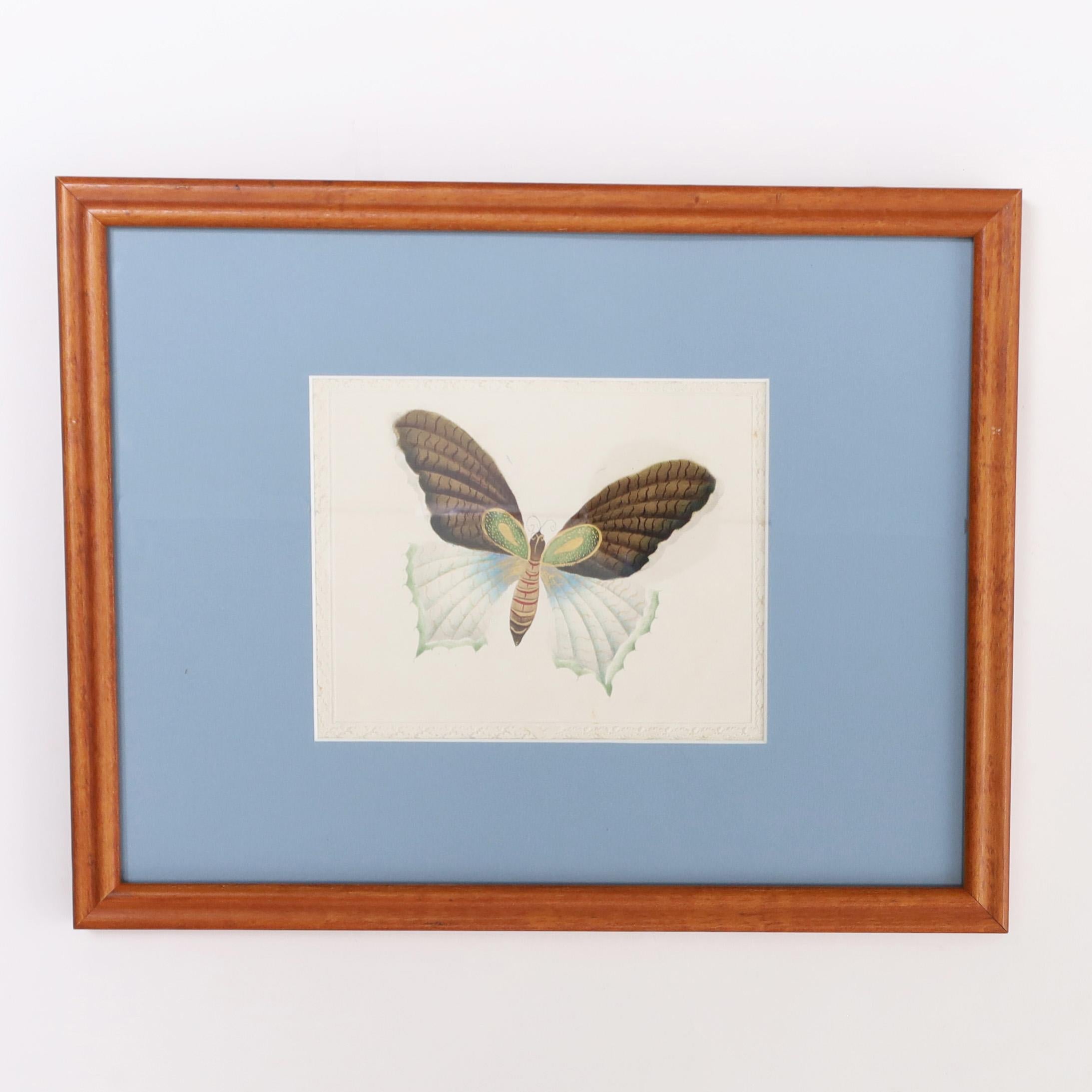 Vintage Set of Six Moth Watercolors For Sale 2