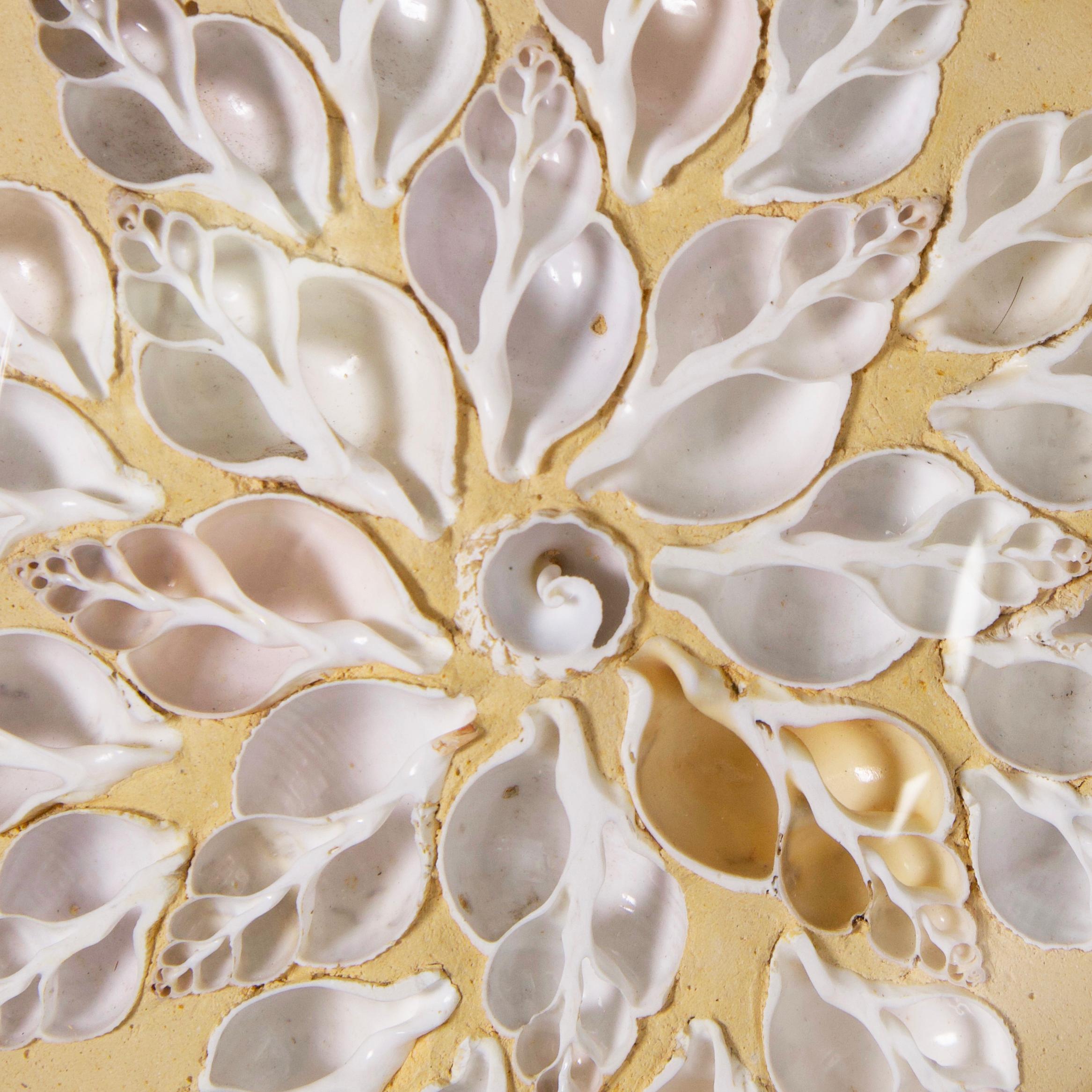 Antiguo Arreglo de Conchas Marinas o San Valentín Enmarcado Estilo Gruta Italiana en venta 2