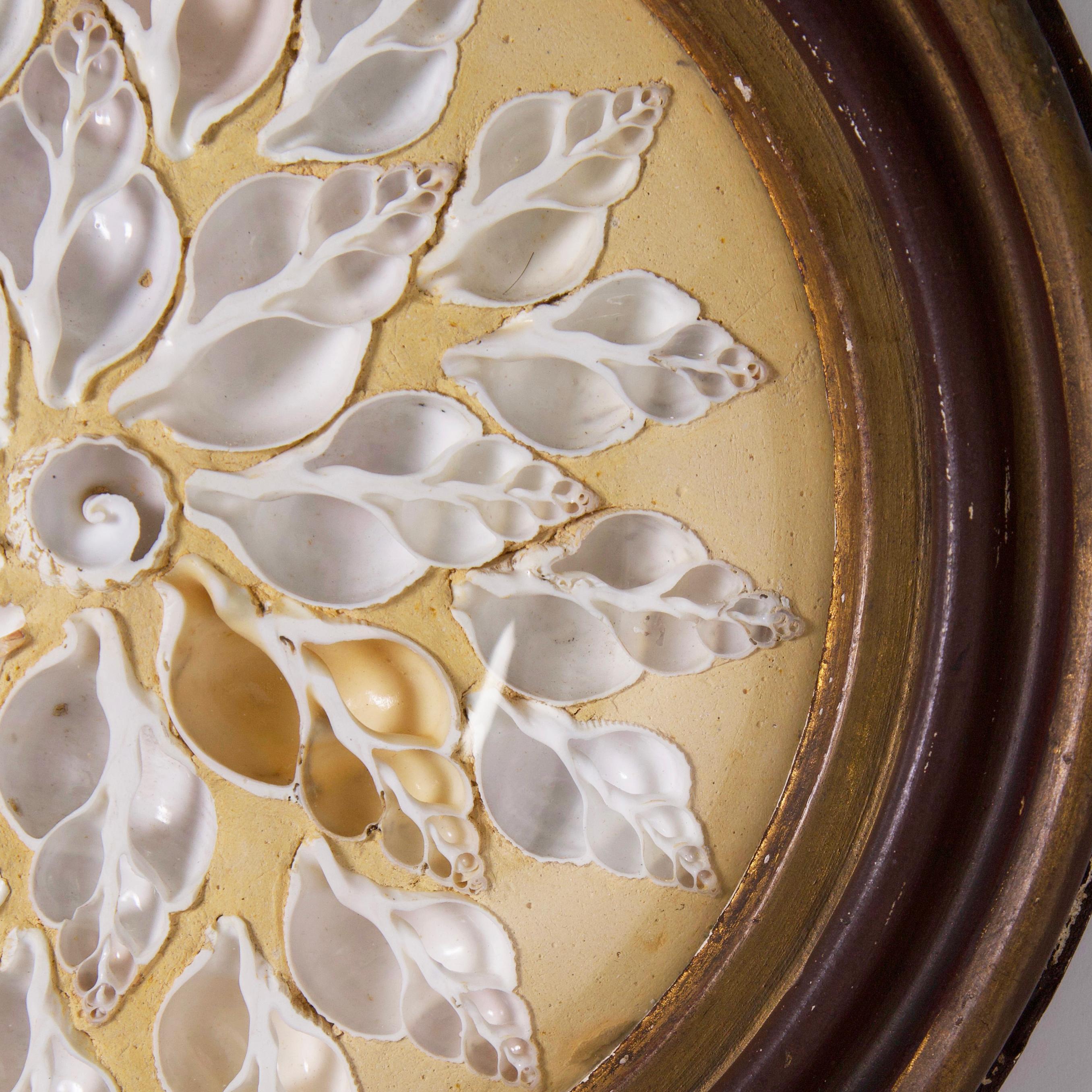 Antiguo Arreglo de Conchas Marinas o San Valentín Enmarcado Estilo Gruta Italiana en venta 1