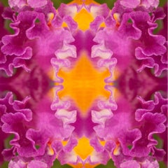 Photographic Paper Color Photography