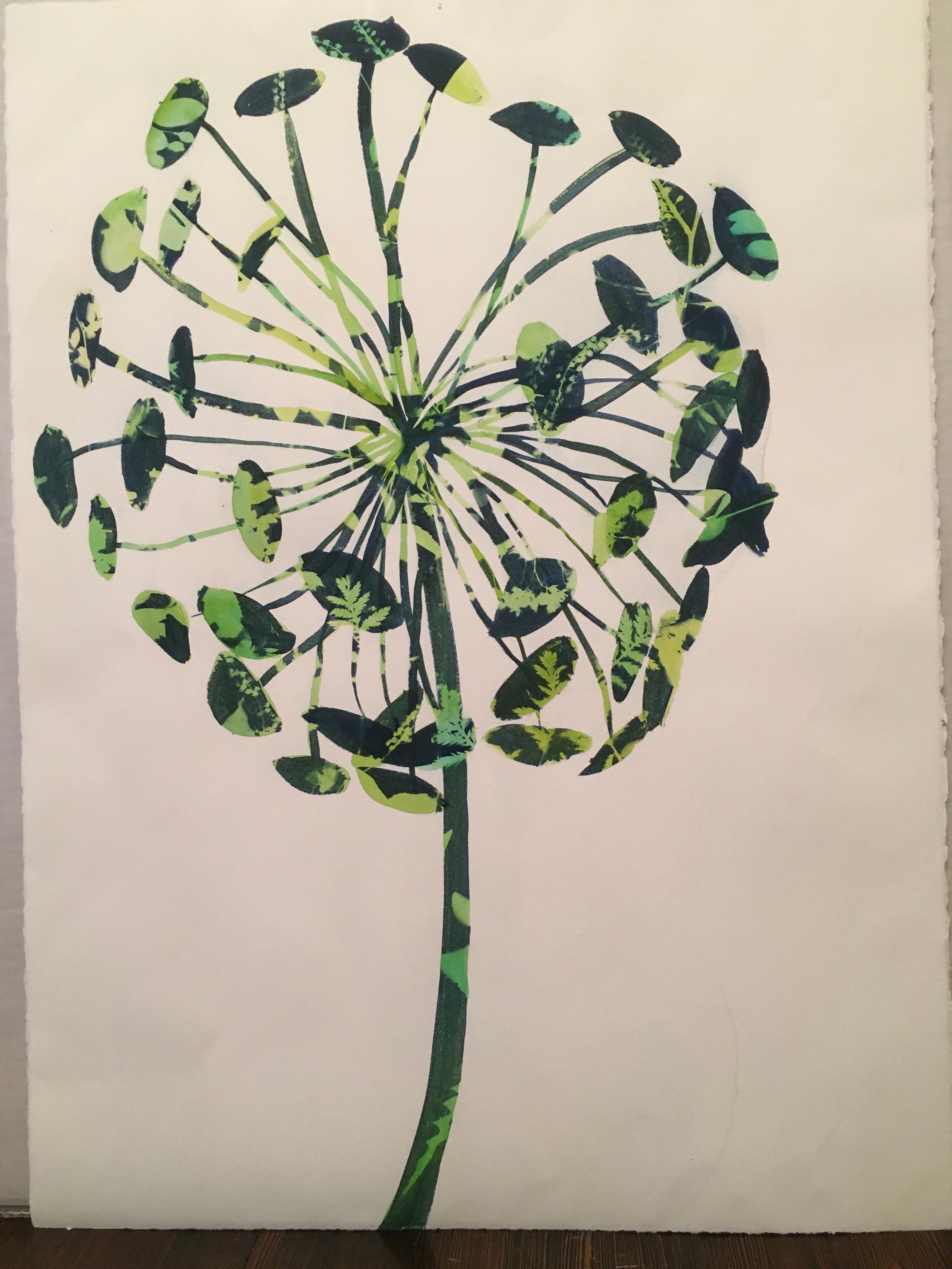 Allium Pop,  Cianotipia, Fiori, Floreale, Blu, Verde, Botanica, Opera su carta