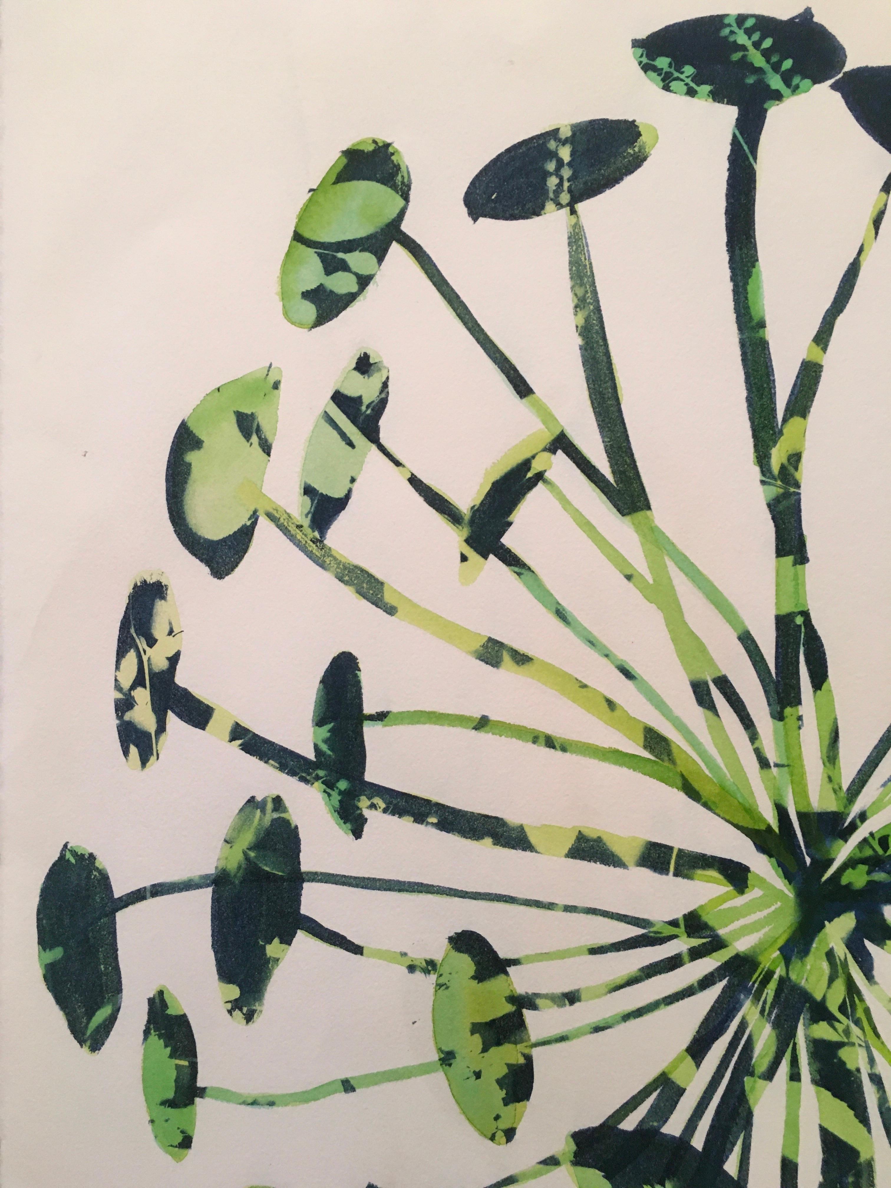 Allium Pop,  Zyanotyp, Blumen, geblümt, blau, grün, botanisch, Arbeit auf Papier (Beige), Landscape Painting, von Cynthia MacCollum