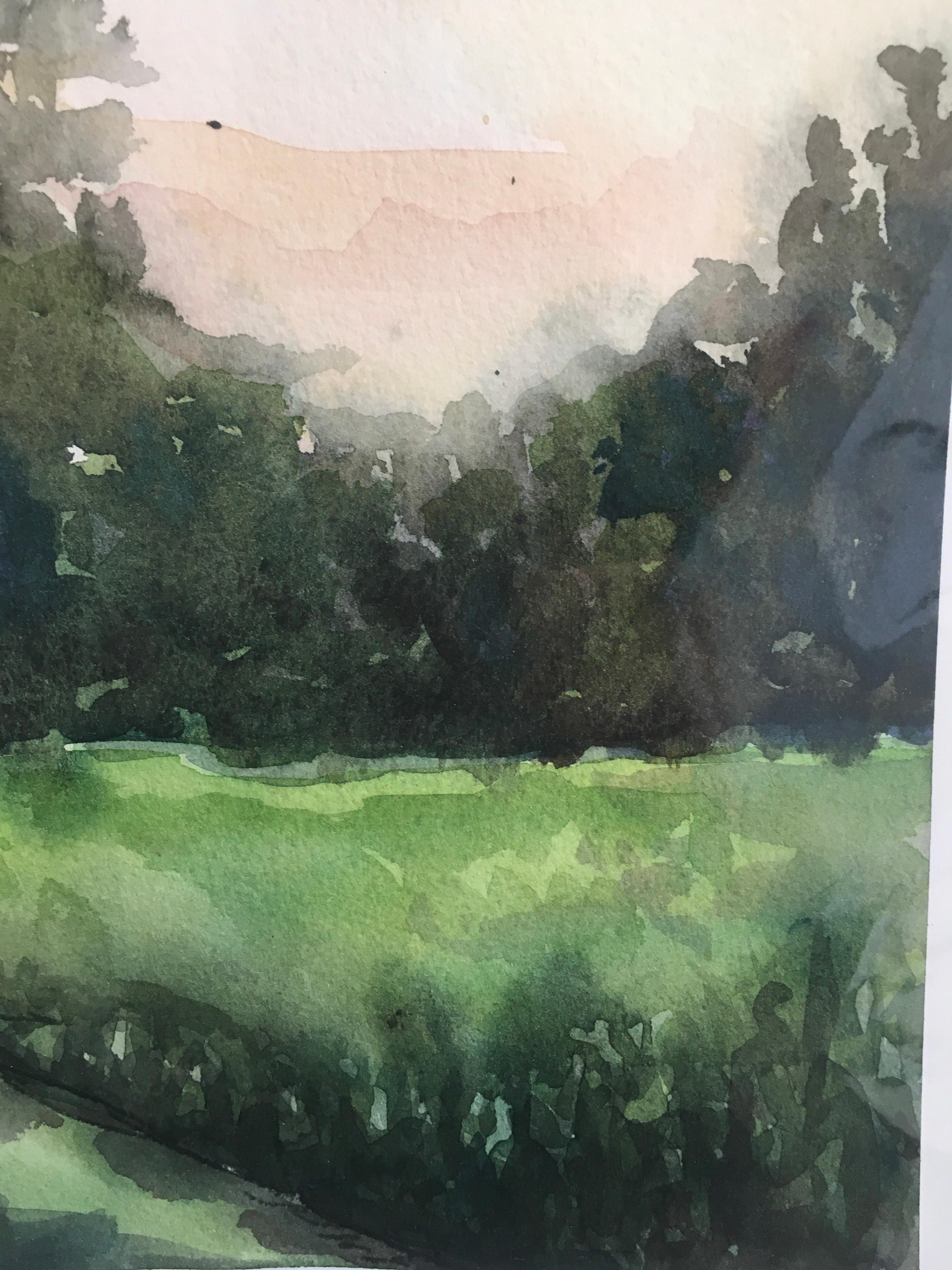 Buck 8:18 pm, Paesaggio, Acquerello, Opera su carta, Erba, Montagne, Alberi - Art di Cynthia MacCollum