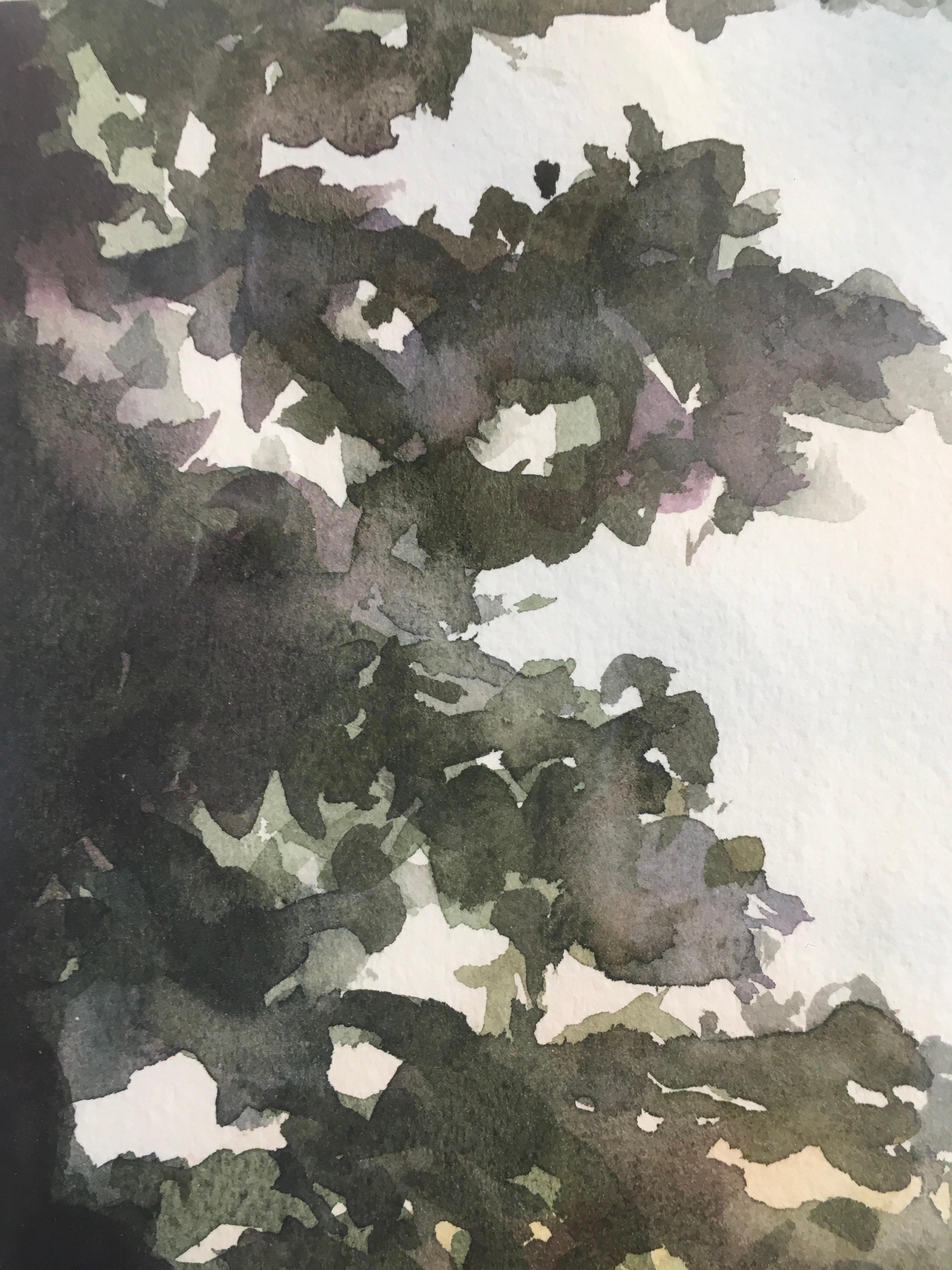 Buck 8:18 pm, Paesaggio, Acquerello, Opera su carta, Erba, Montagne, Alberi - Landscape Art Grigio di Cynthia MacCollum
