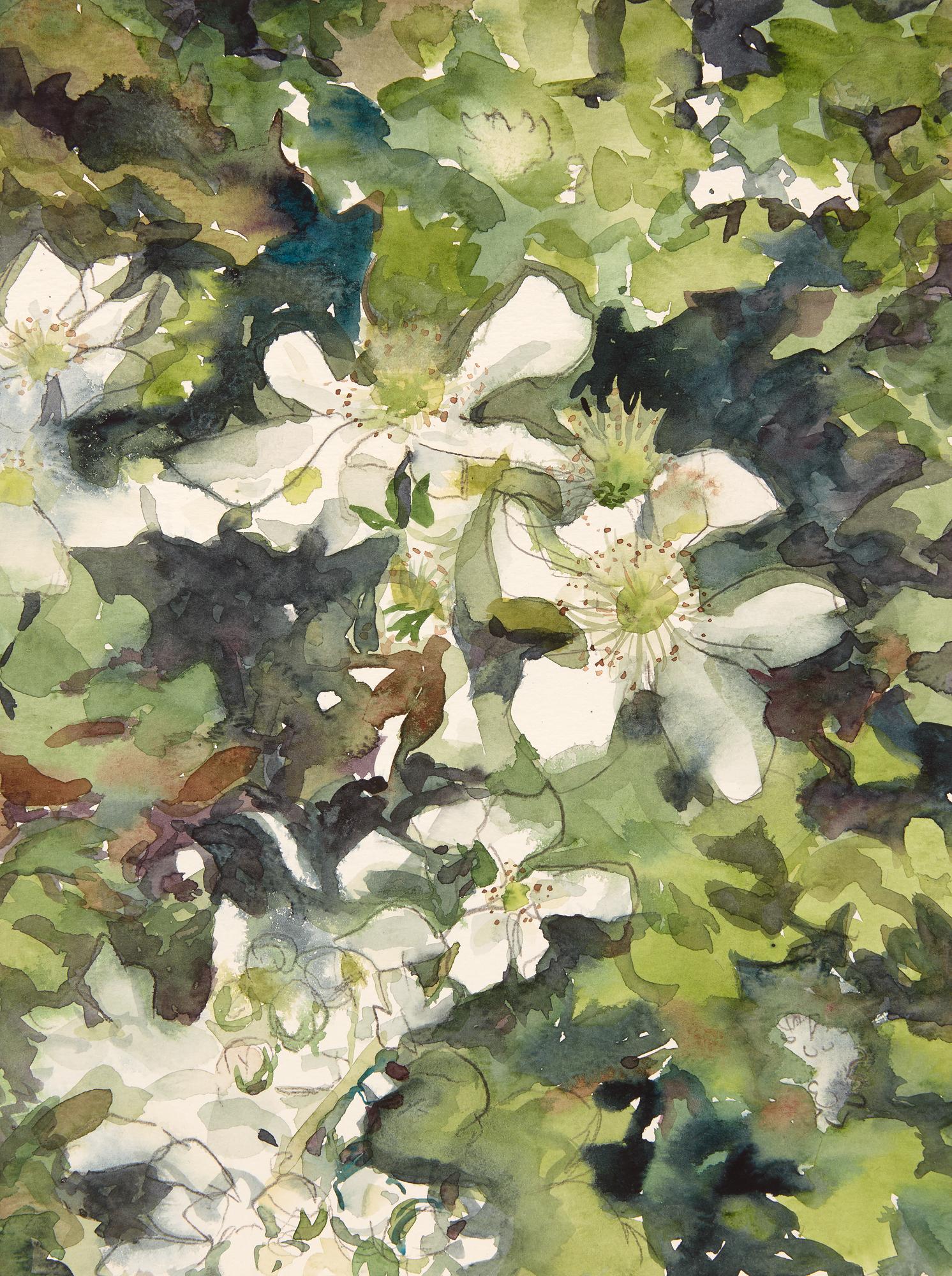 Cynthia MacCollum Landscape Art - Flower Moon 1:40pm, Botanical,  Floral, Watercolor, Work on Paper, Flowers