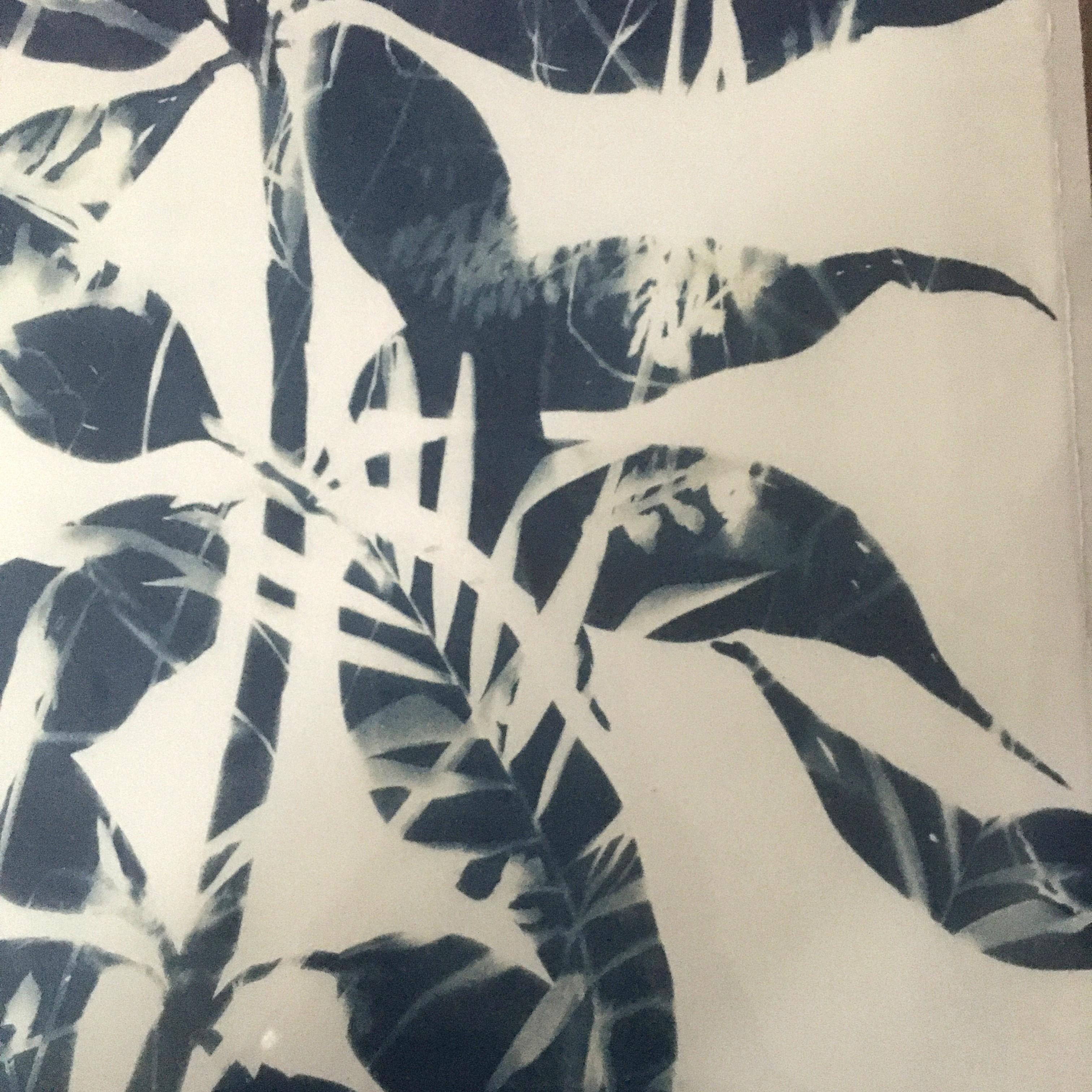 Sweetie Pie è un Cyanotype di Cynthia MacCollum.  Il formato è 30x22 su carta d'archivio. Attualmente non è incorniciato.  Si tratta di una bellissima opera d'arte botanica ricca di una gamma di blu.  MacCollum utilizza fiori e foglie vere nelle sue