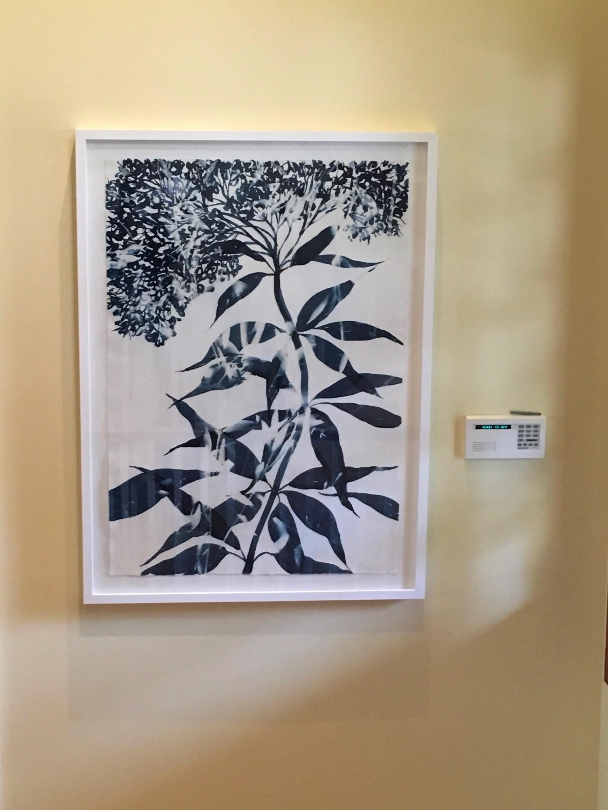Allium Pop ist eine Cyanotypie von Cynthia MacCollum.  Es ist 30x22 auf Archivierungspapier. Es ist derzeit ungerahmt.  Es ist ein wunderschönes botanisches Kunstwerk, eine Allium-Blume,  gefüllt mit einer Reihe von Blautönen und leuchtendem Grün. 