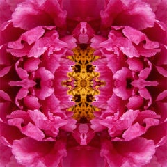 Mirror Mirror VI, 30x30, Unframed, Color Photography, Flower, Floral, Botanical 