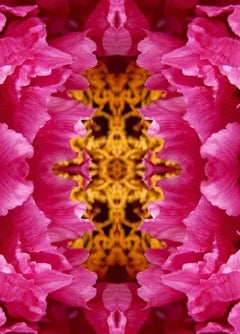 Mirror Mirror VI, 30x30, Unframed, Color Photography, Flower, Floral, Botanical