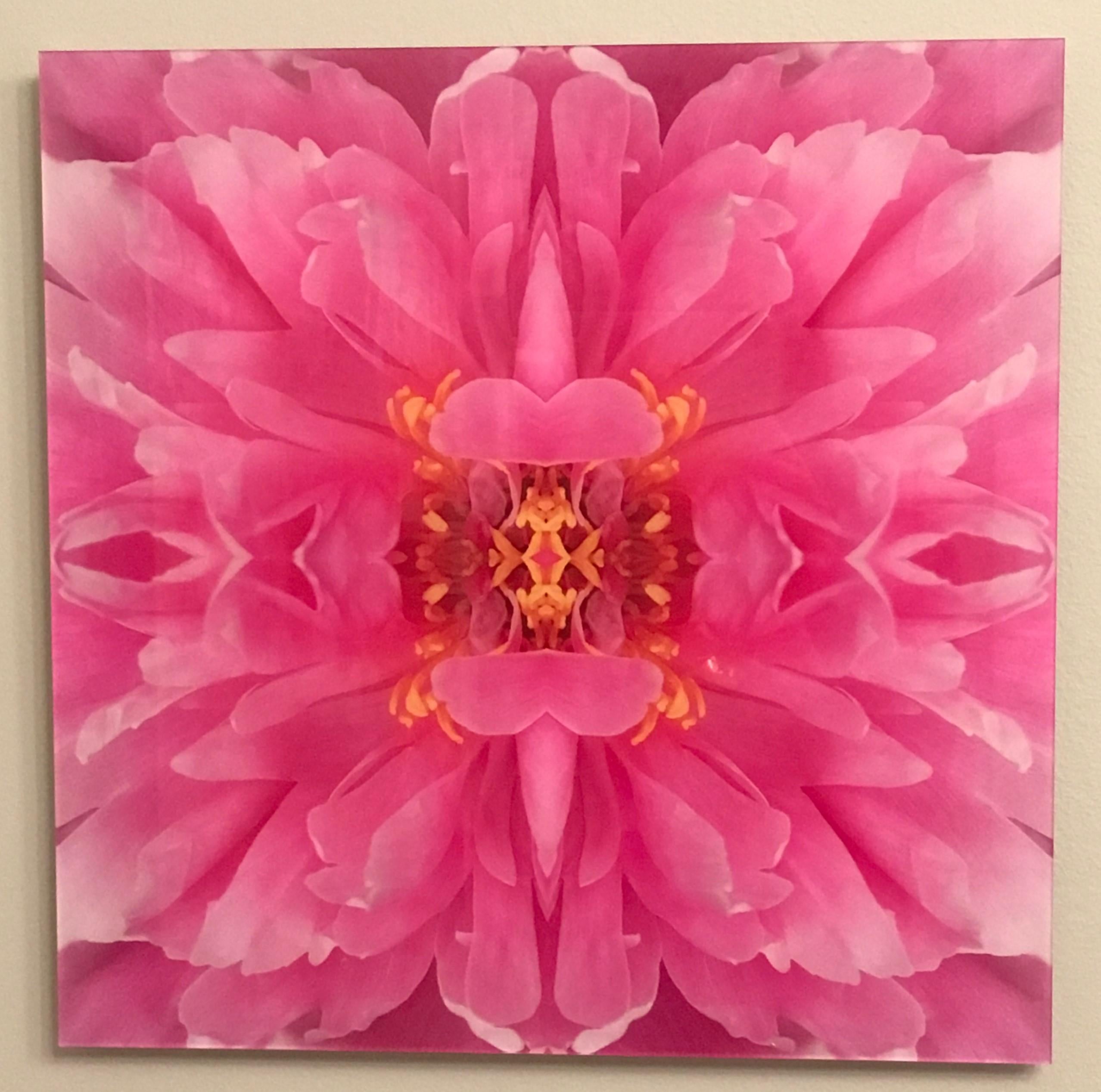 Rebecca Swanson, Pure Poppy I, Limited Edition Photograph, 15x15.  It is available with Plexifacemount or white frame .  This stunning image is filled Pink and green.  This is an edition of 15.  Also available in 30x30.   Printing and framing upon