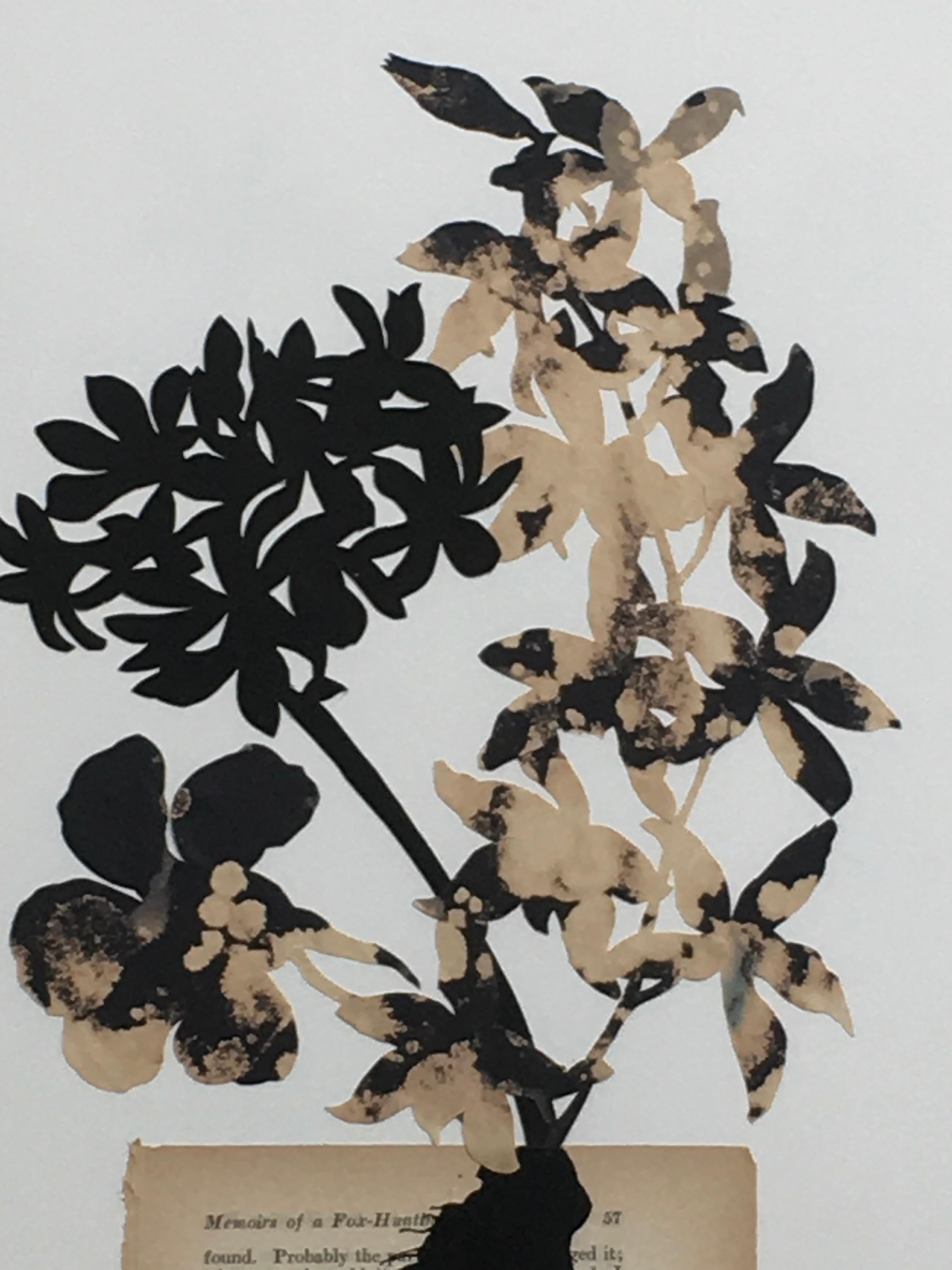 Midnight Blooms No. 12, Flowers, Botanical, Collage, Mothers Day, Black, White - Painting by Deborah Weiss