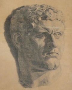 Classical Male Bust