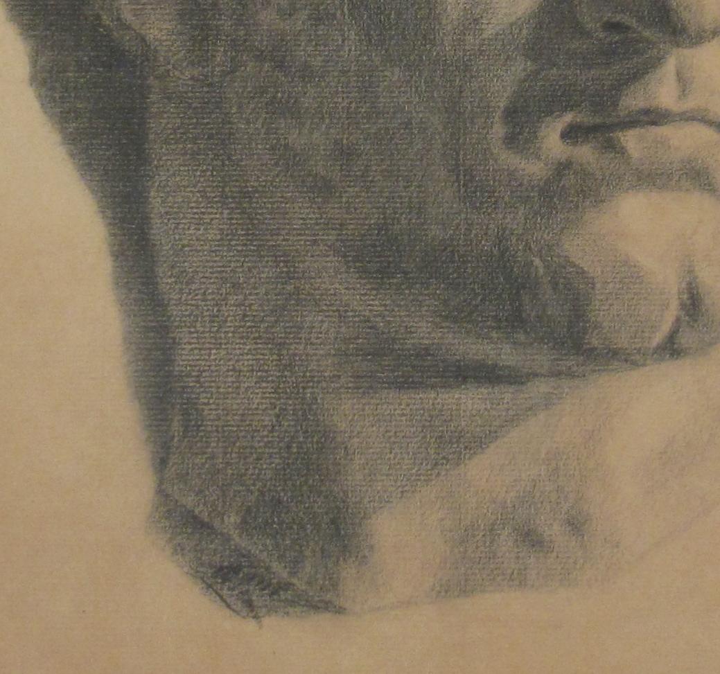 Paul Ascam Demmé (1866 - 1953) Classical Male Bust Pencil Drawing c. 1899 1