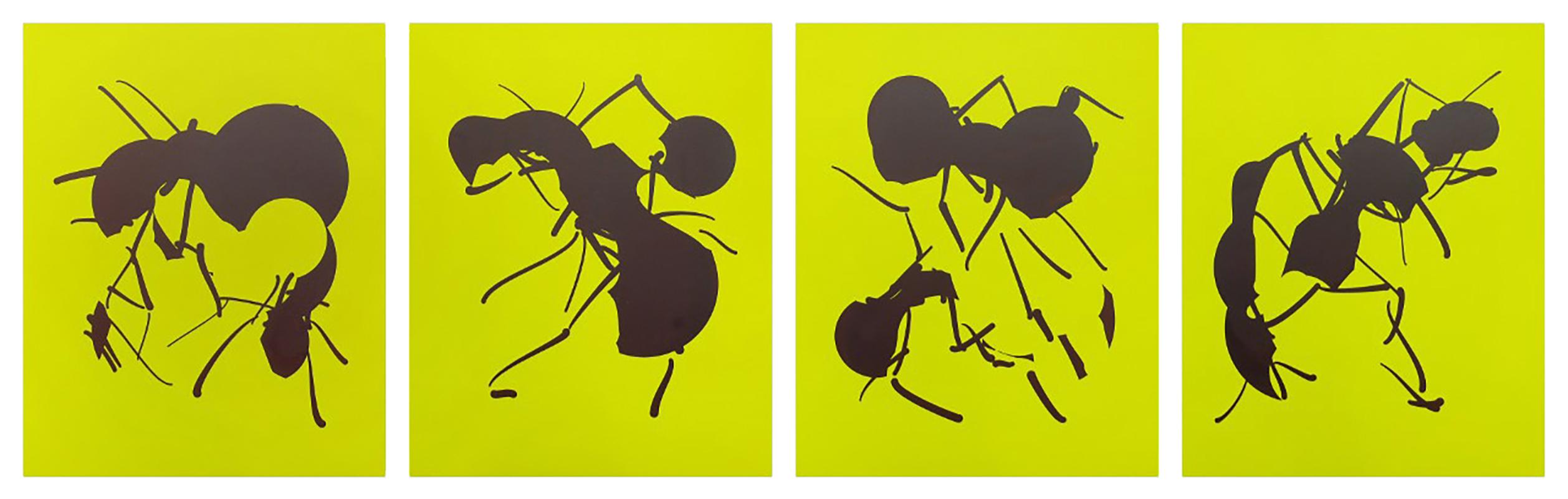 Ant Prints (Set of 12) - Abstract Art by Tom White