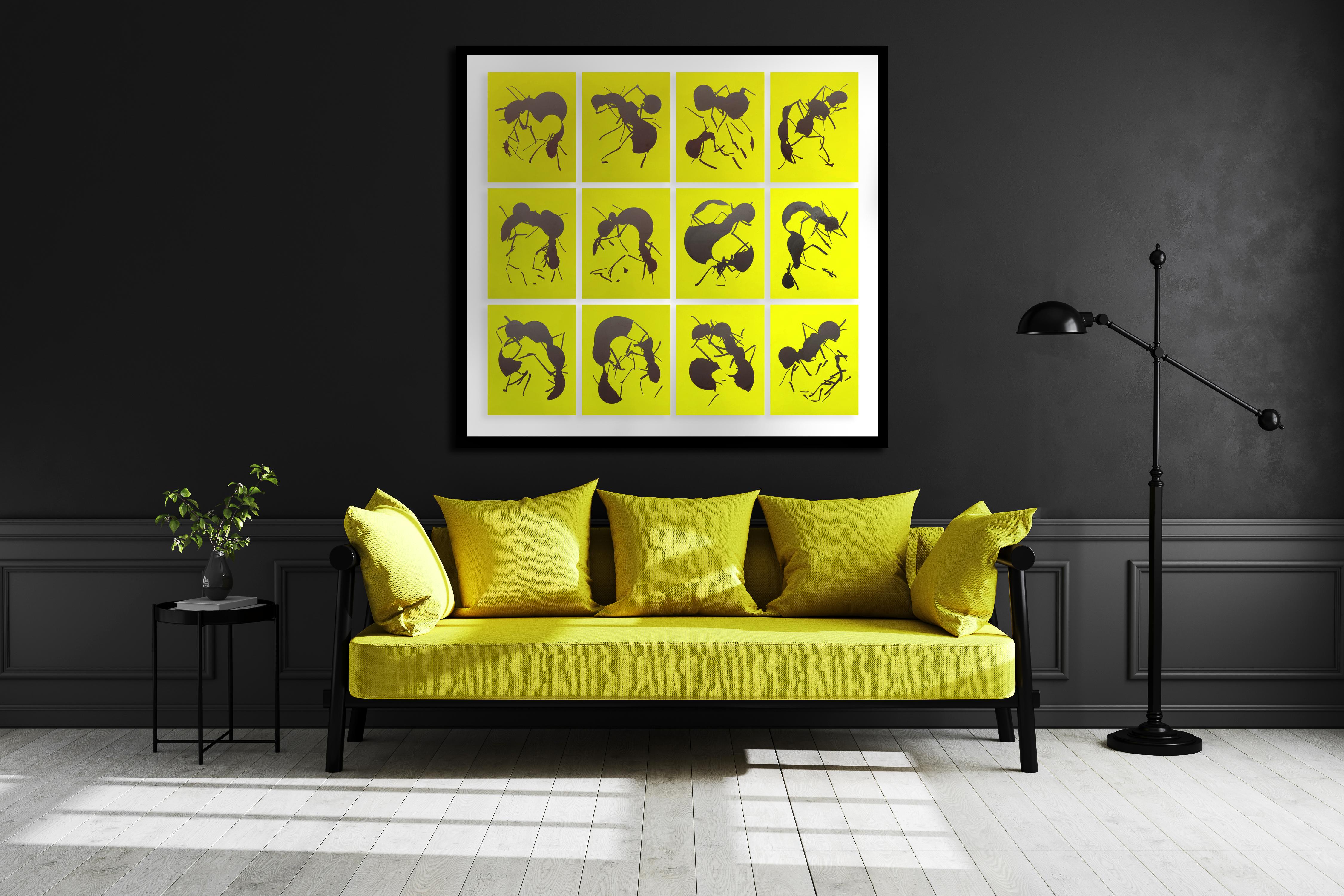 Ant Prints (Set of 12) For Sale 3
