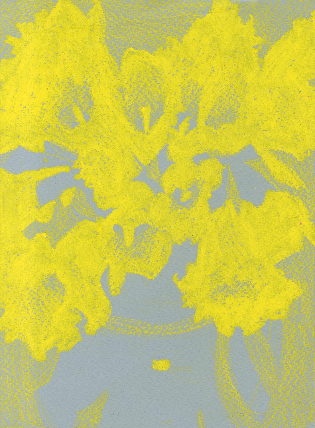 Rachel Burgess Still-Life - Daffodils II (Sketch)